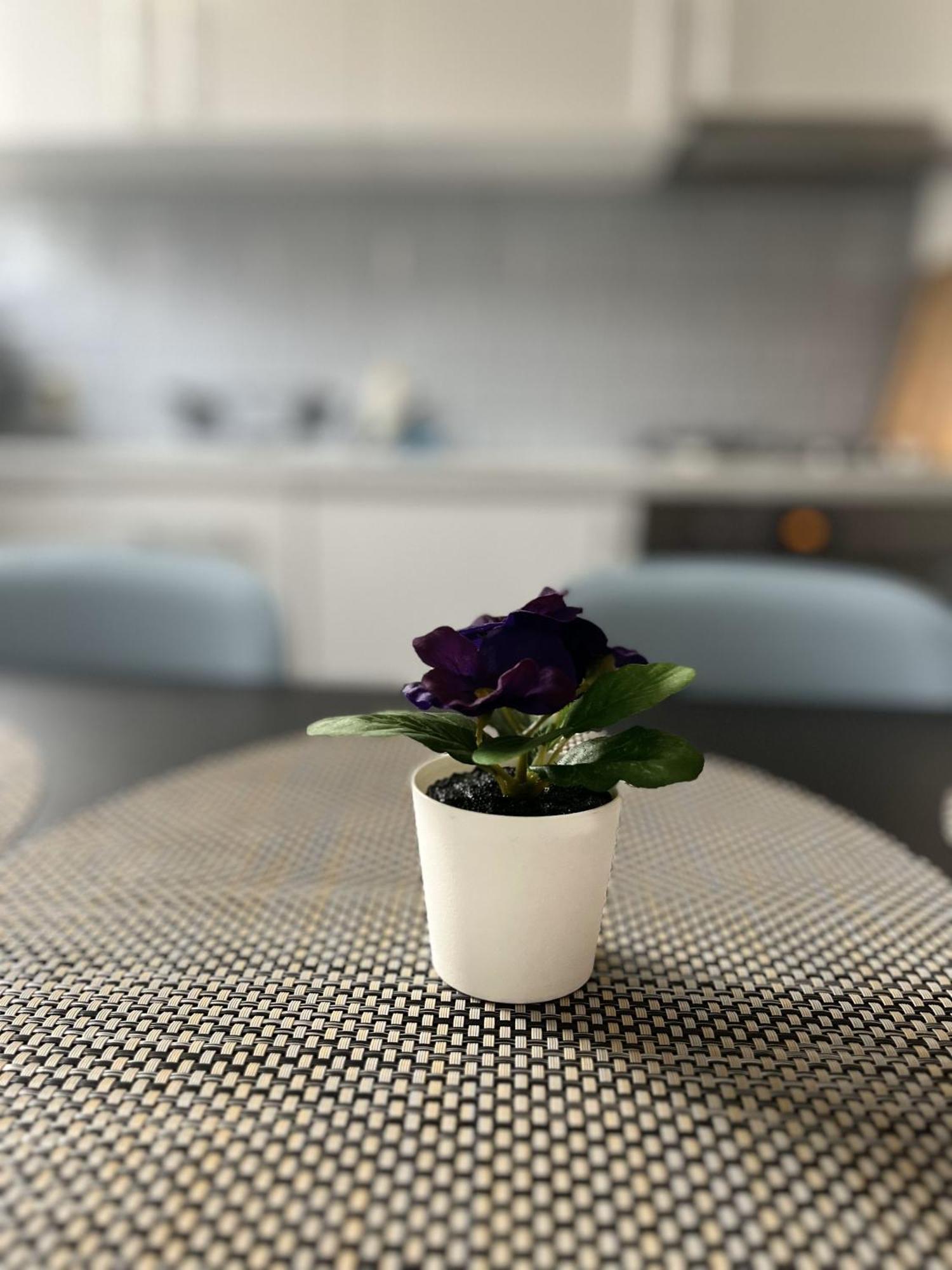 Apartamenty Przy Muzeum Gdansk Dış mekan fotoğraf